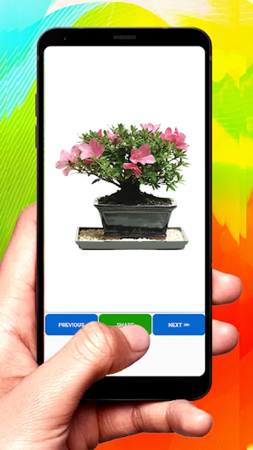 Screenshot 31
