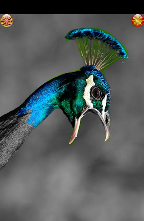 Screenshot 15
