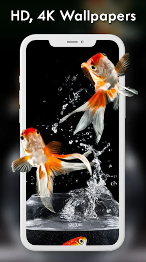 Screenshot 22