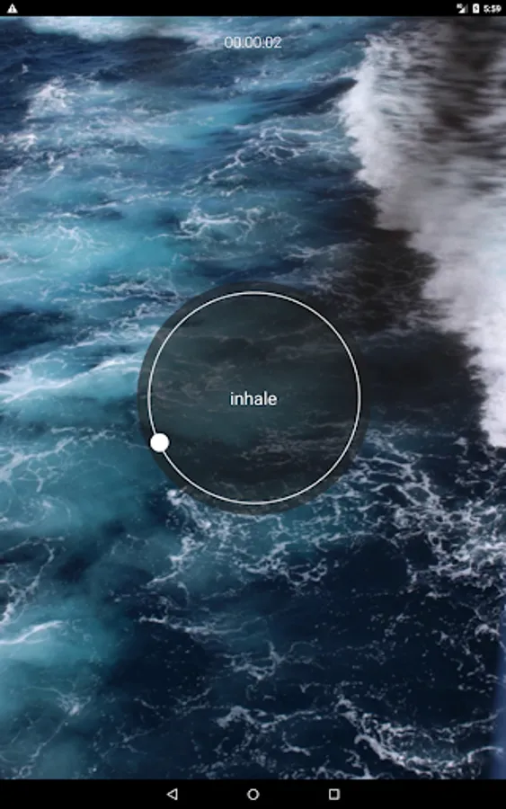 Screenshot 11