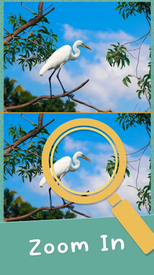 Screenshot 29