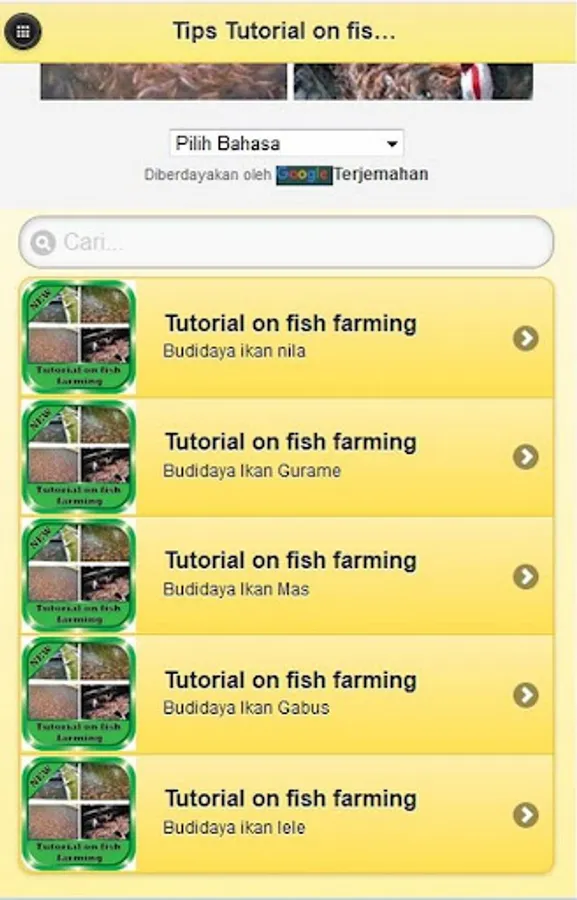 Screenshot 24