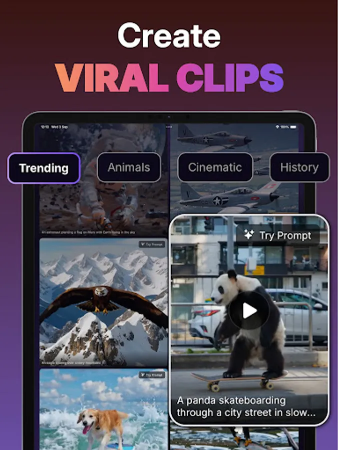 Screenshot 14