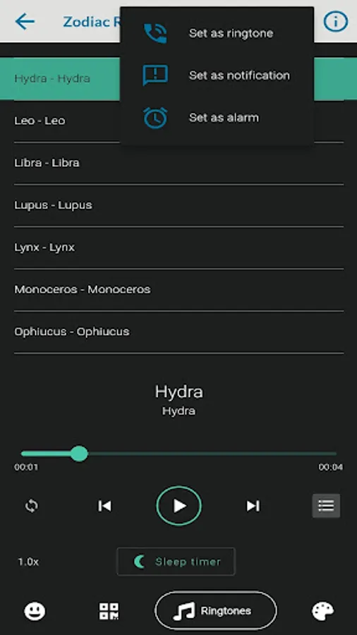 Screenshot 39