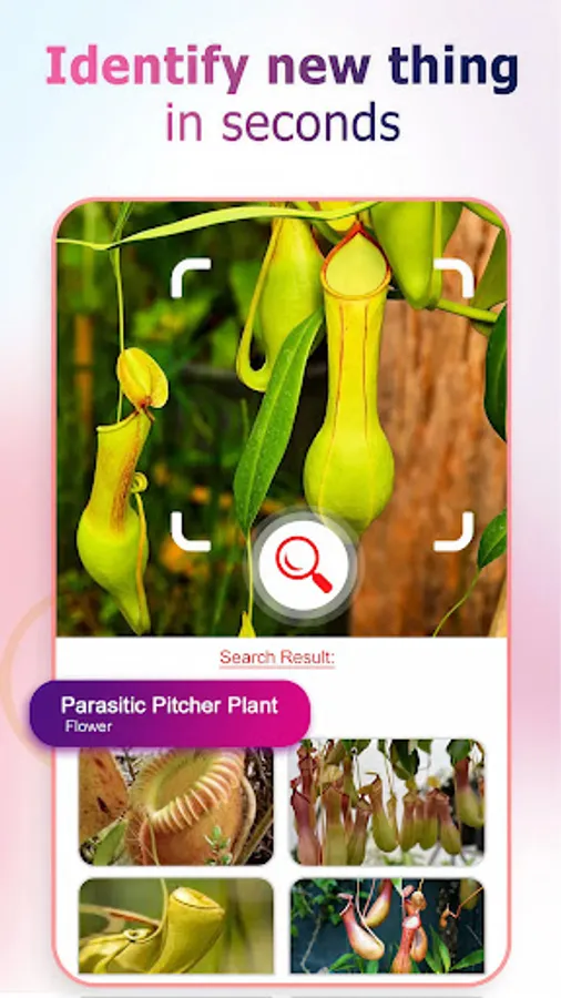 Screenshot 30