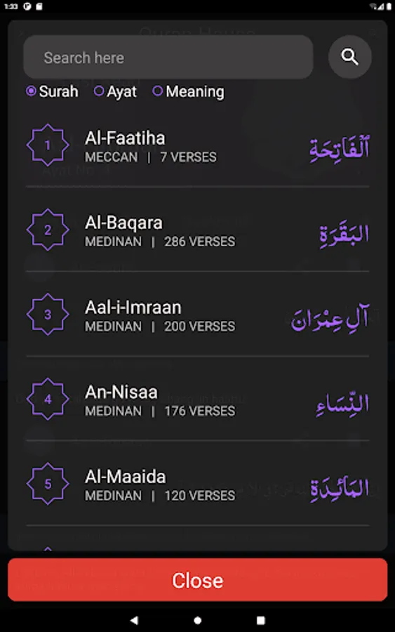 Screenshot 13