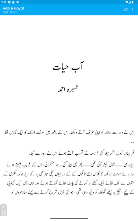 Screenshot 13