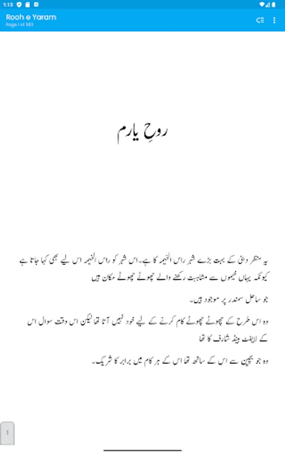 Screenshot 13