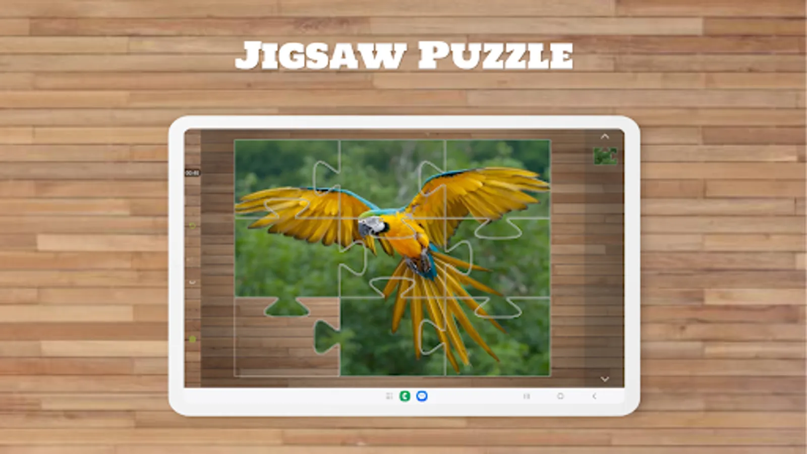 Screenshot 13