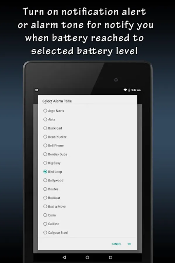 Screenshot 12