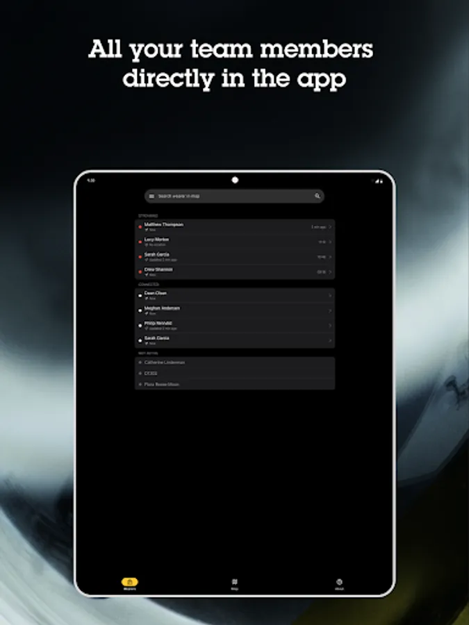 Screenshot 13