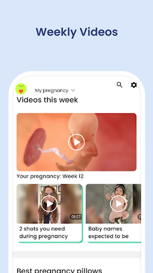 Screenshot 21