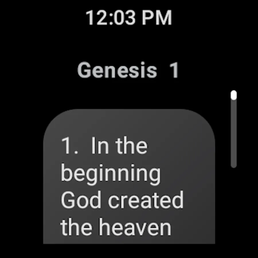 Screenshot 30