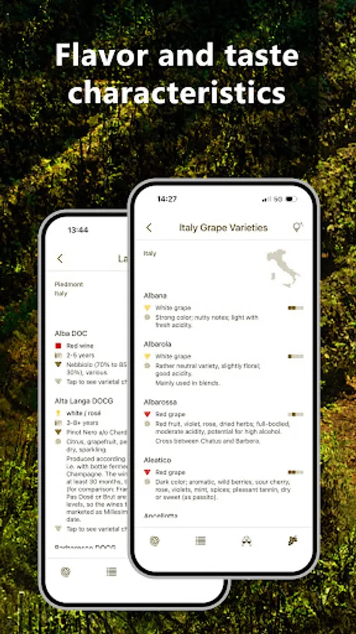 Screenshot 30