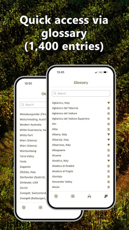 Screenshot 31