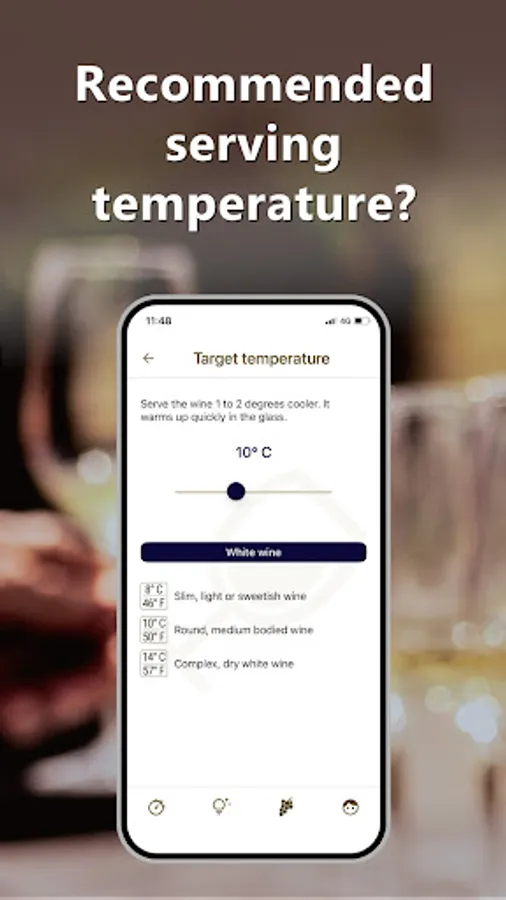 Screenshot 21