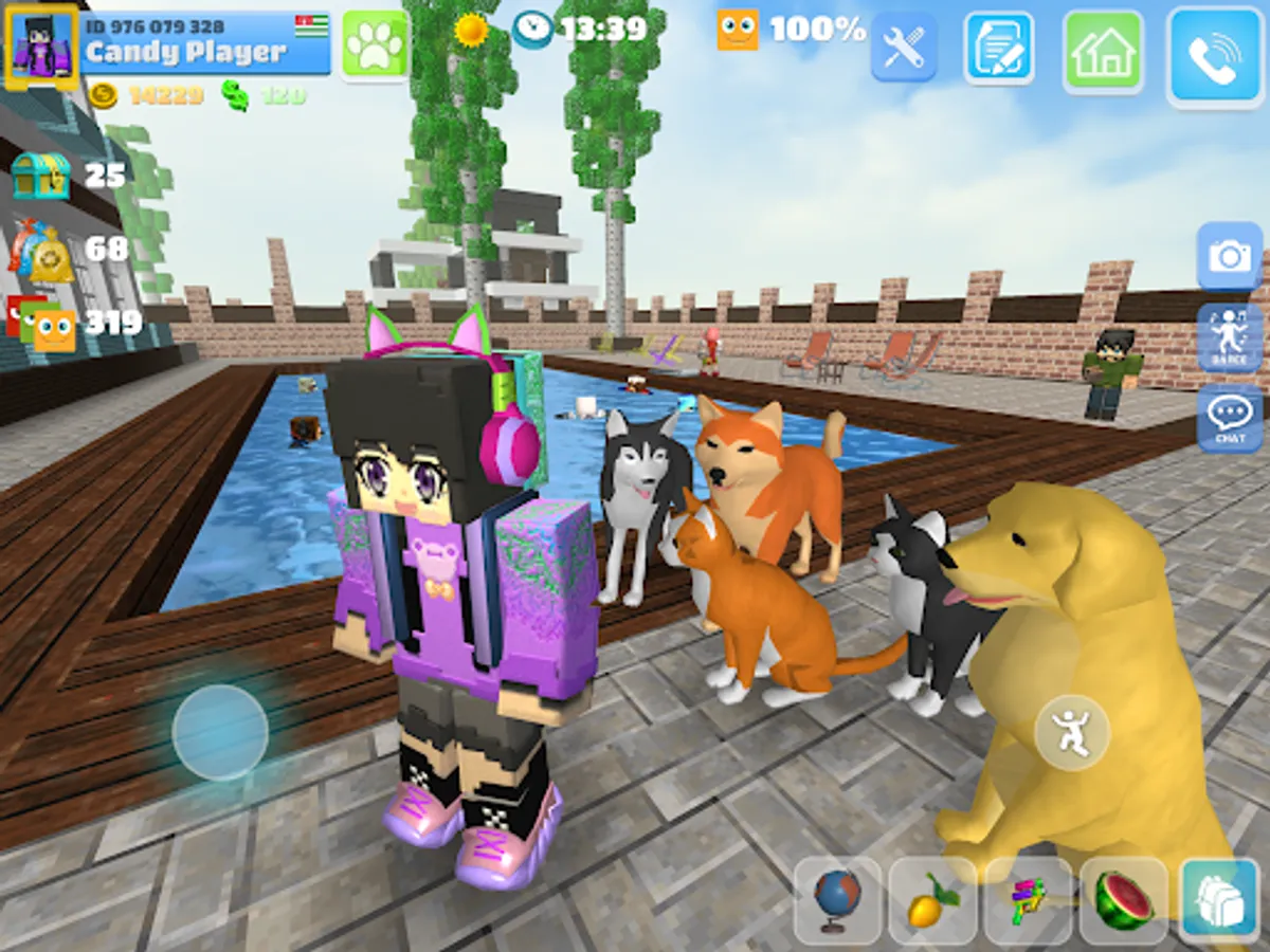 Screenshot 13