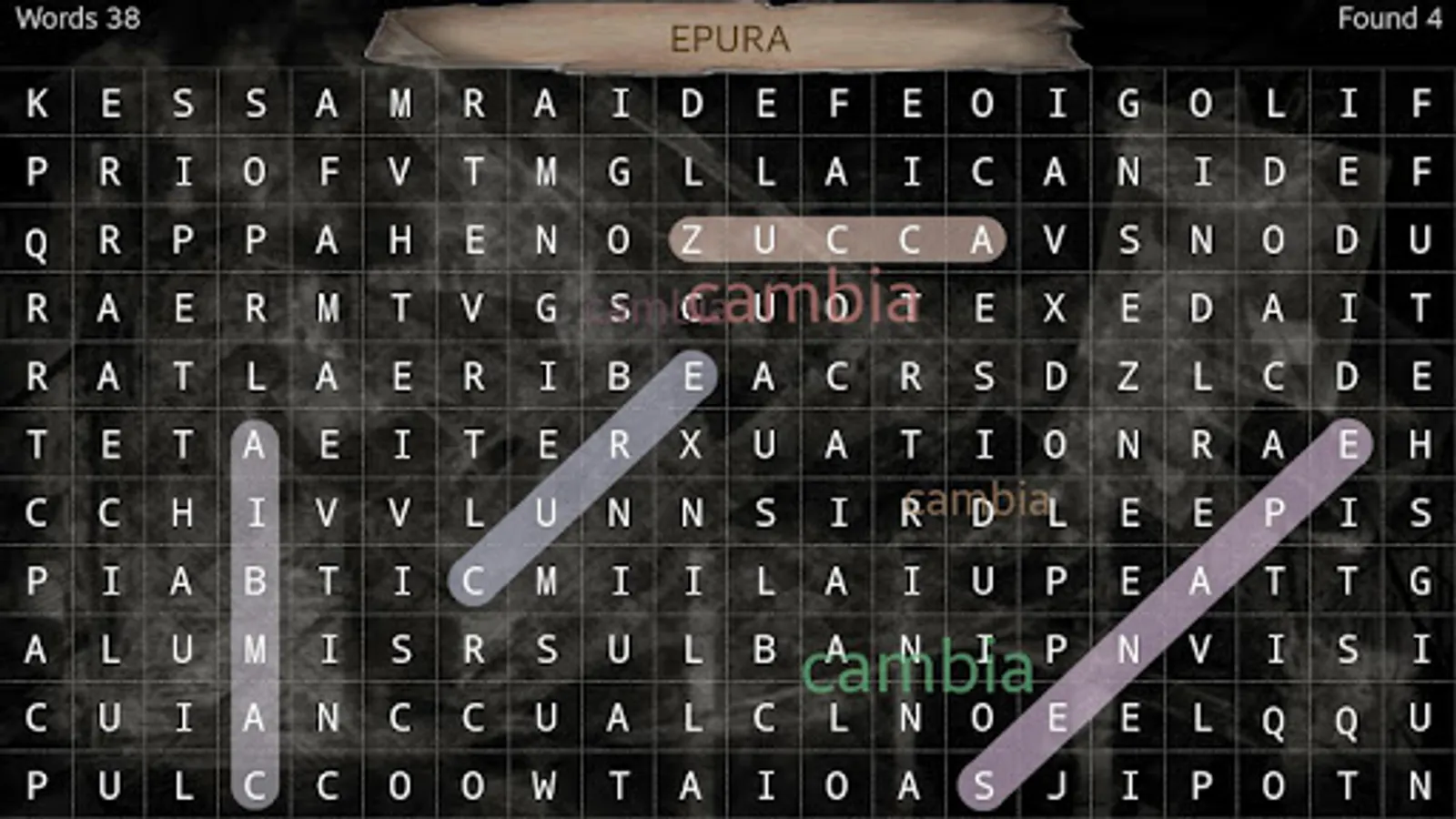 Screenshot 13