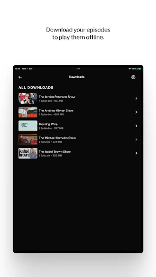 Screenshot 14