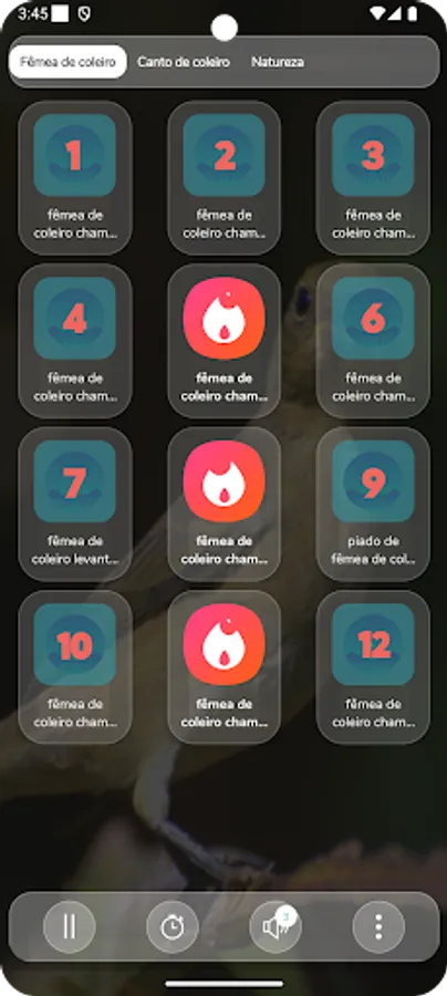 Screenshot 19