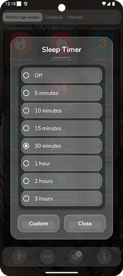 Screenshot 11