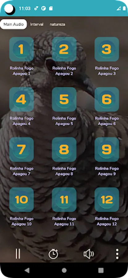 Screenshot 14
