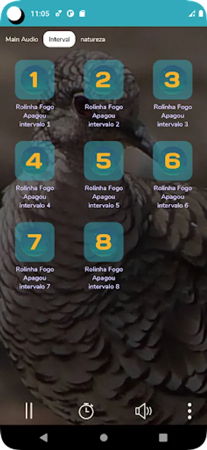 Screenshot 15