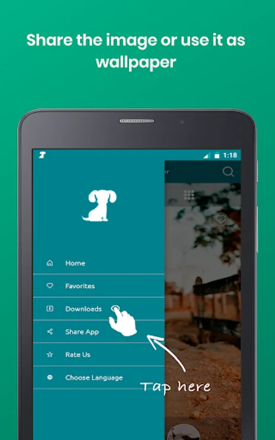 Screenshot 12