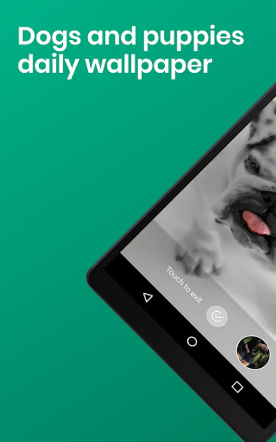 Screenshot 15