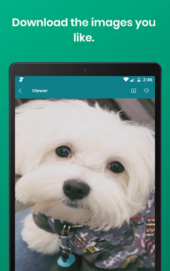Screenshot 18