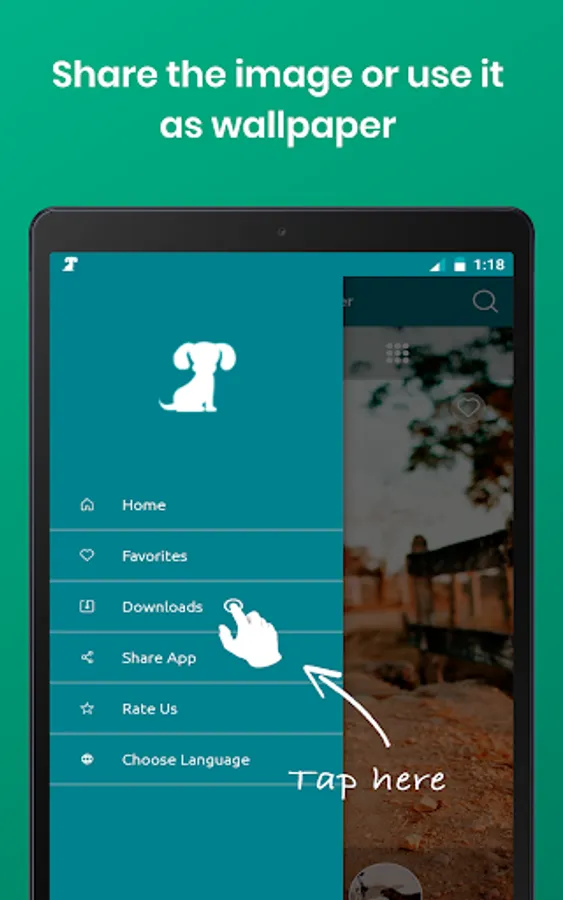 Screenshot 19