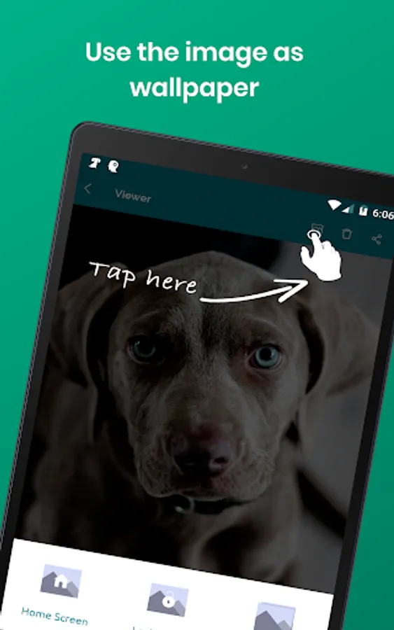 Screenshot 21