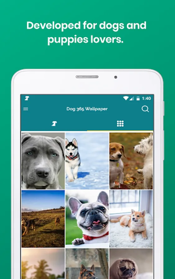 Screenshot 10