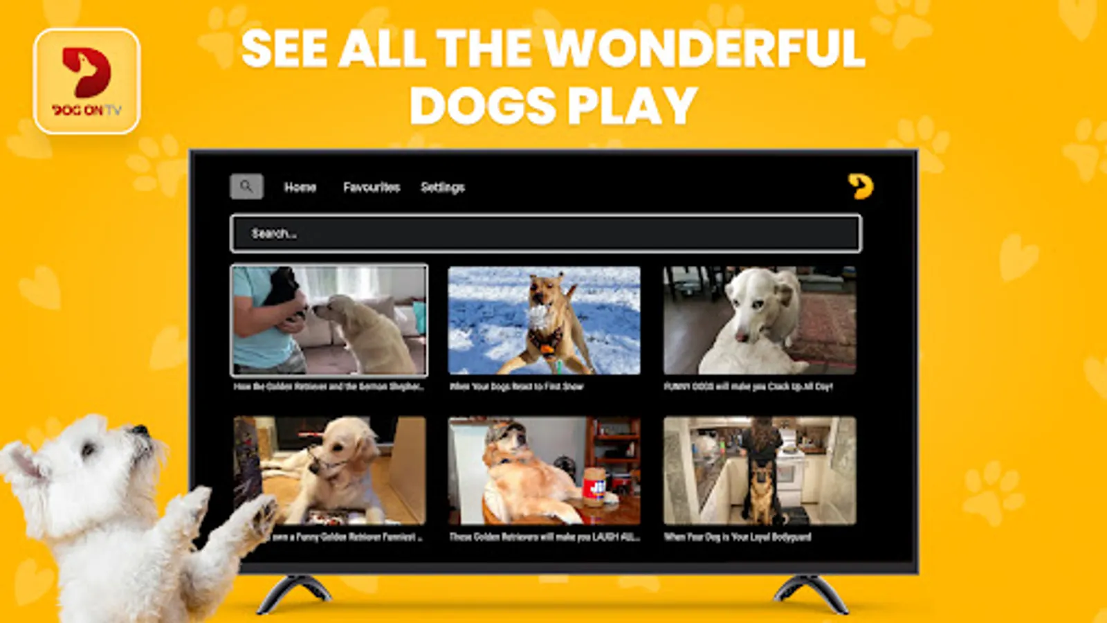 Screenshot 23