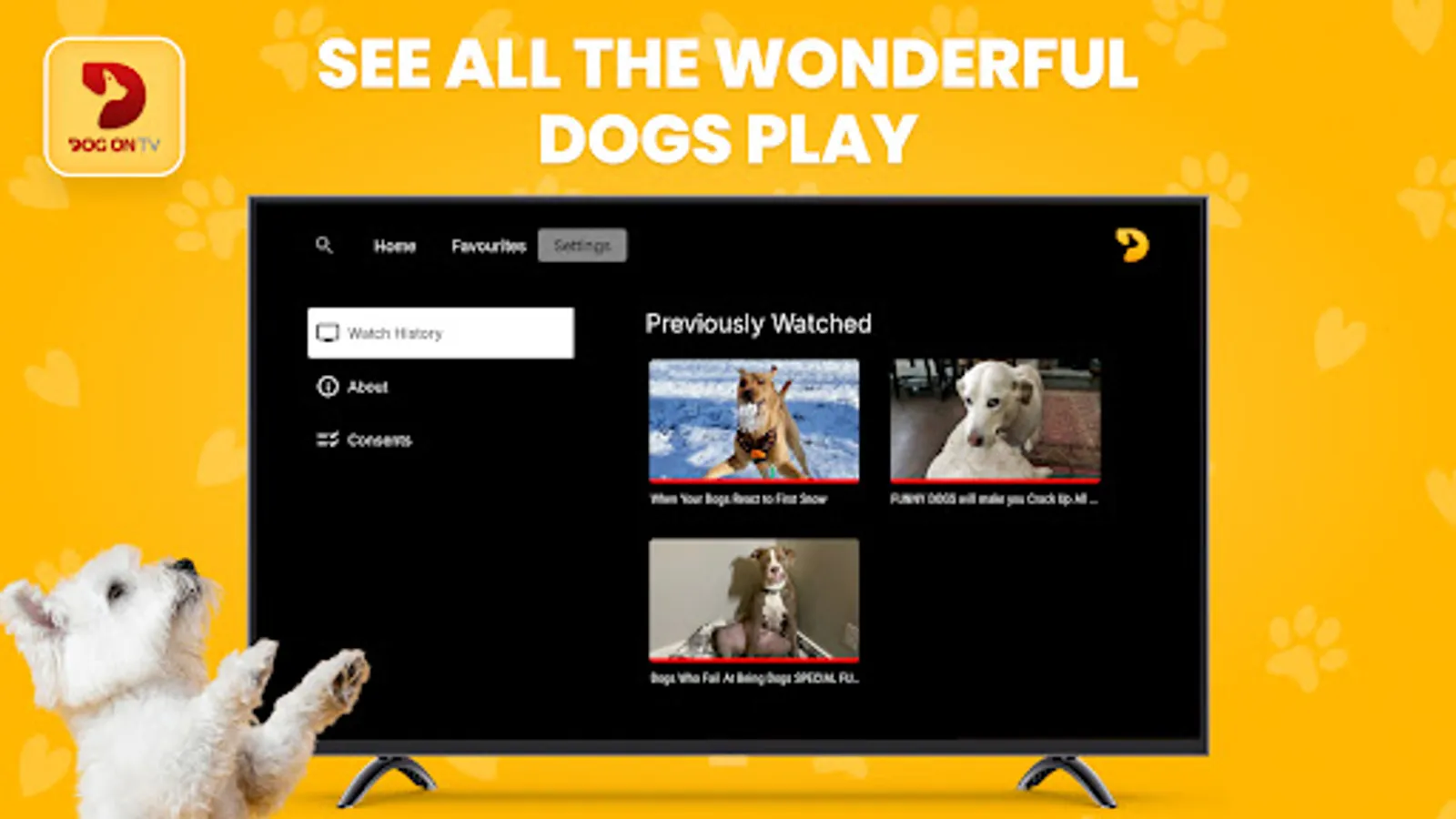 Screenshot 24
