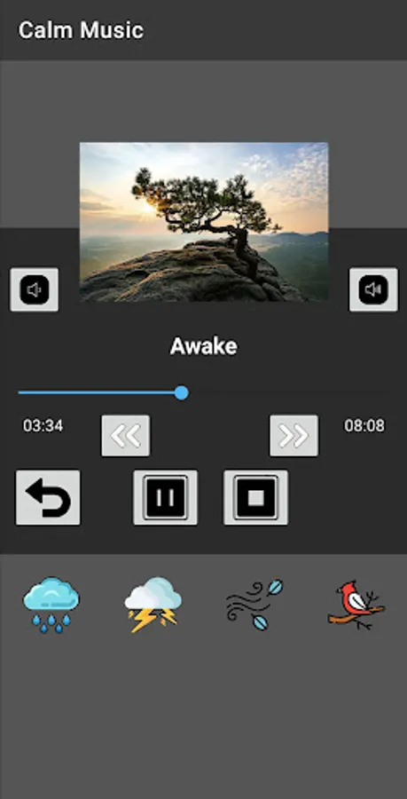 Screenshot 19