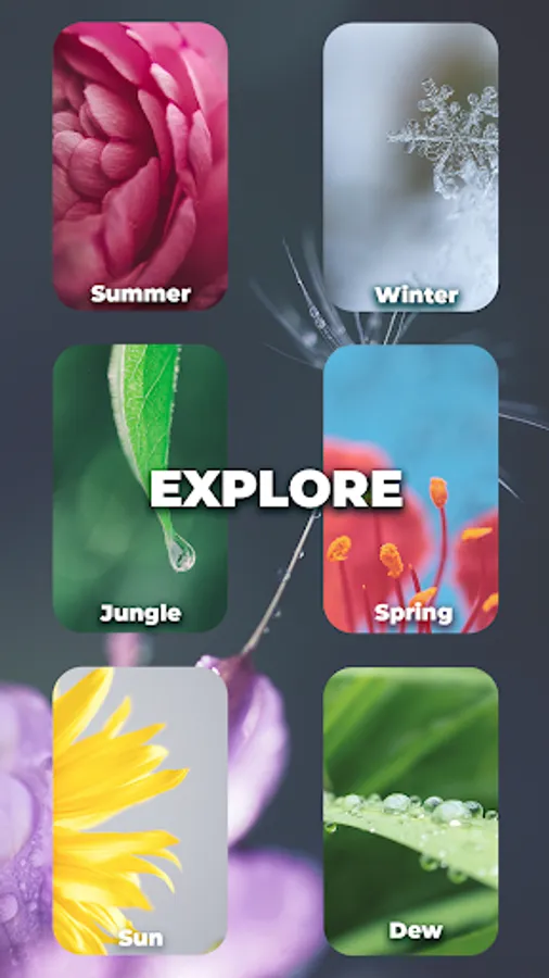 Screenshot 21