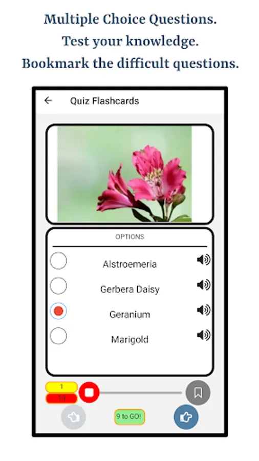 Screenshot 21