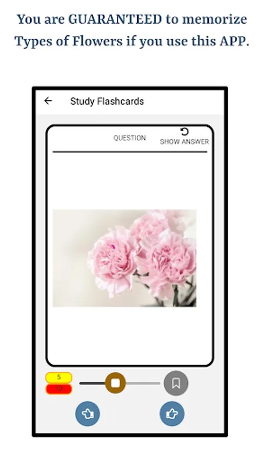 Screenshot 23
