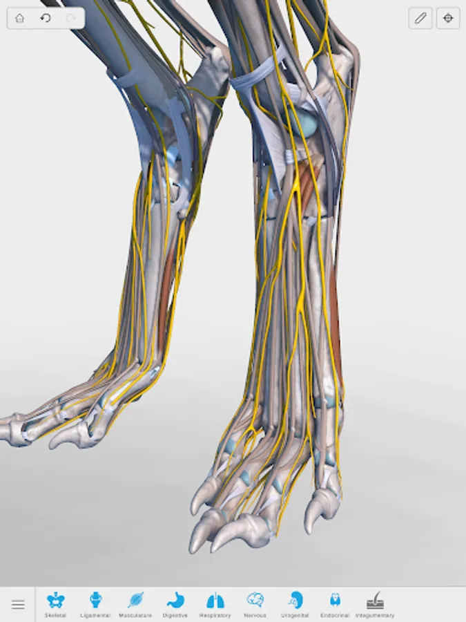 Screenshot 20