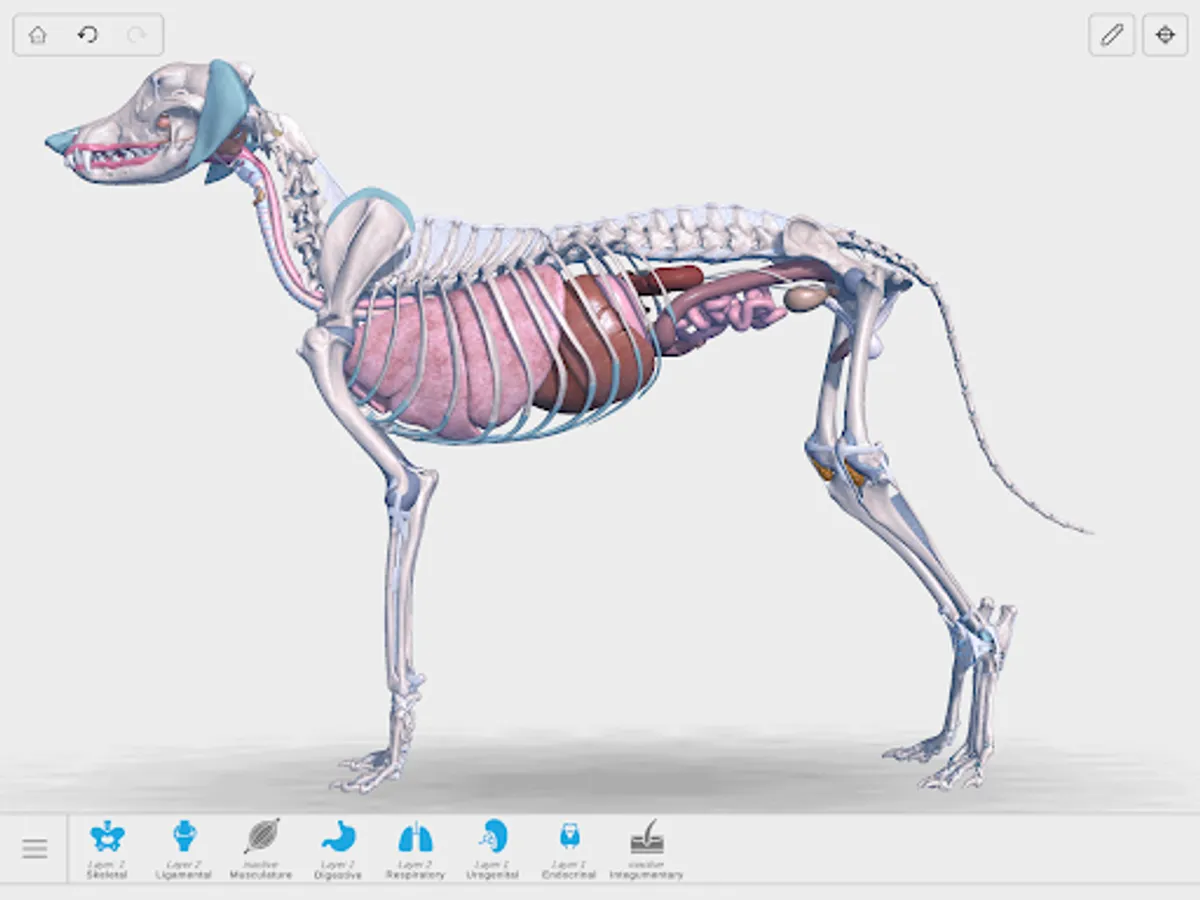 Screenshot 21