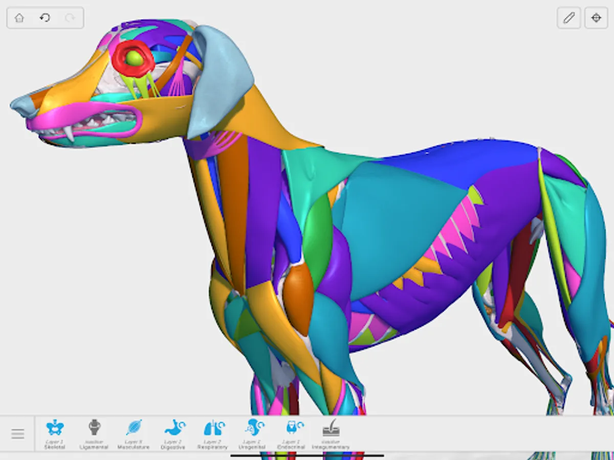 Screenshot 22