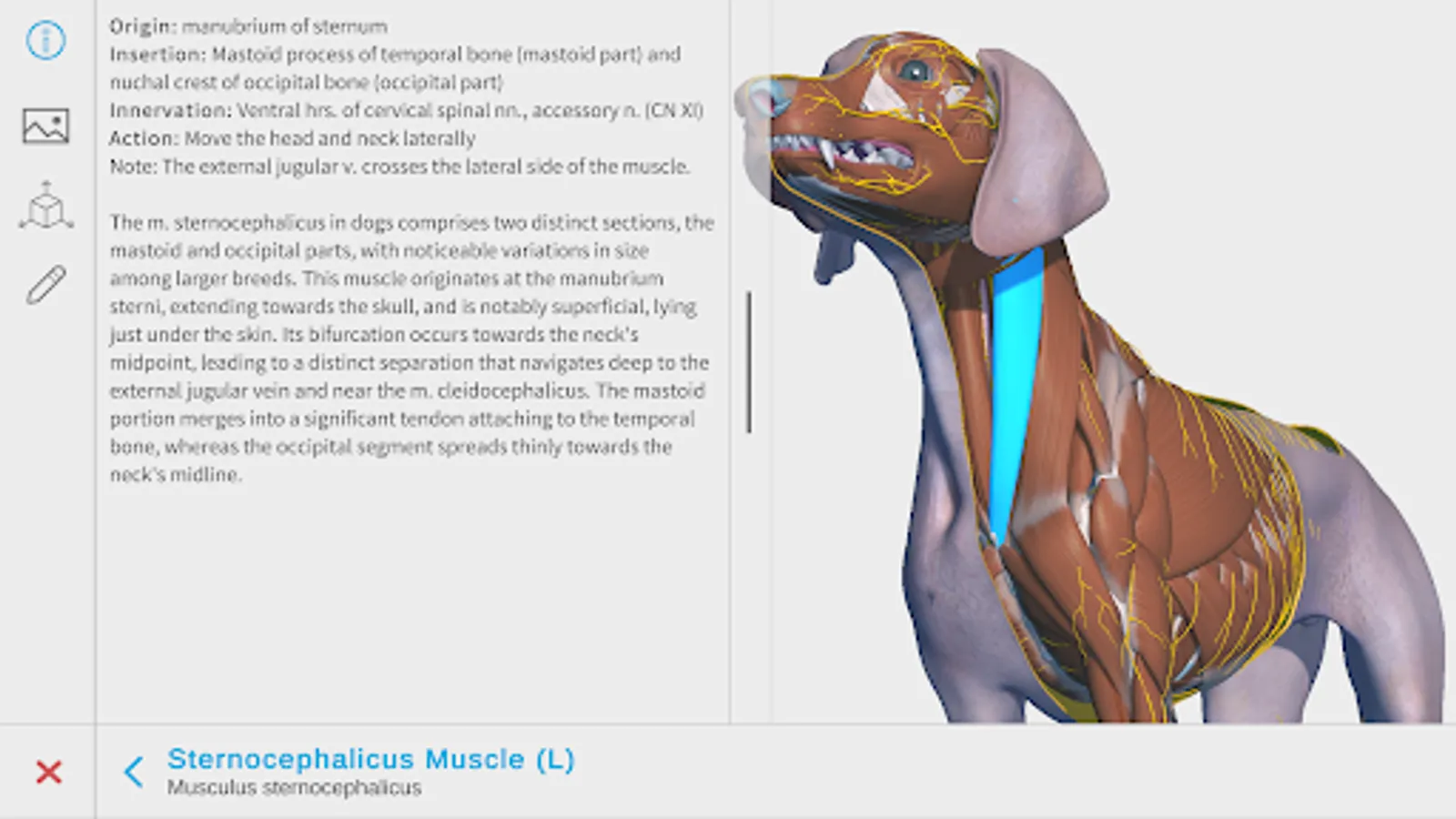 Screenshot 24