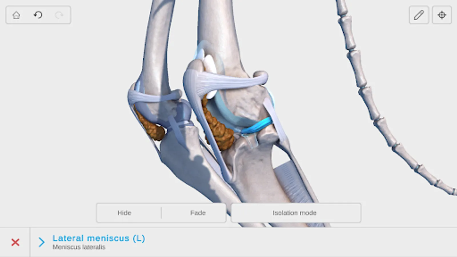 Screenshot 26