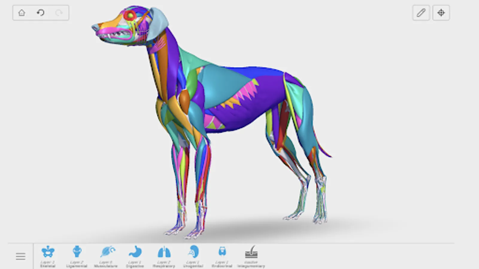 Screenshot 27