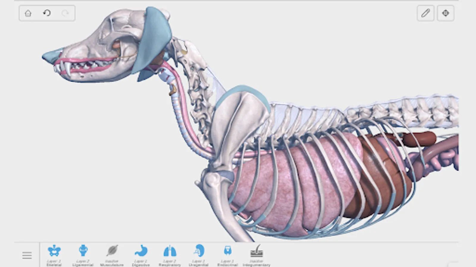 Screenshot 28