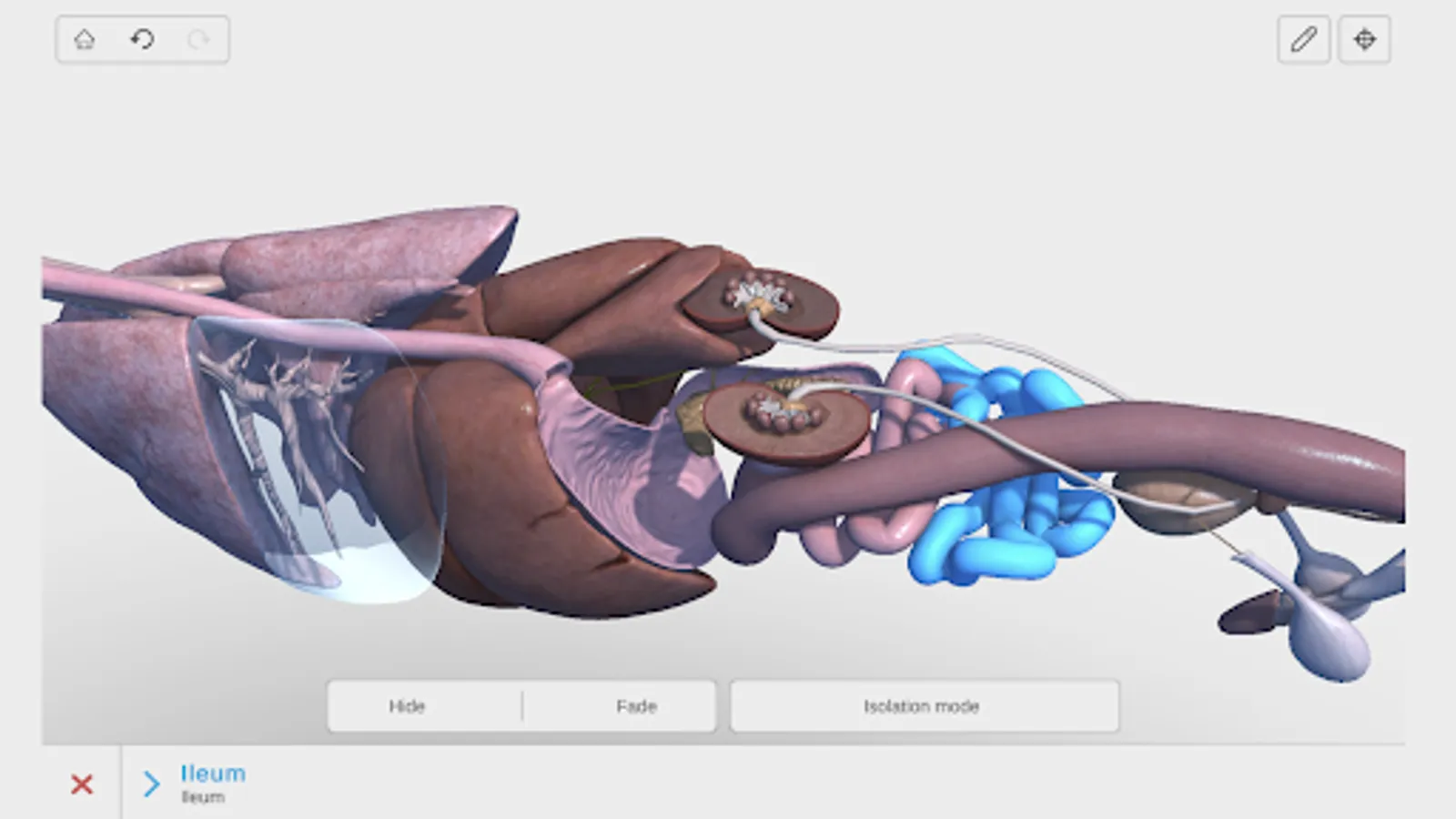 Screenshot 29
