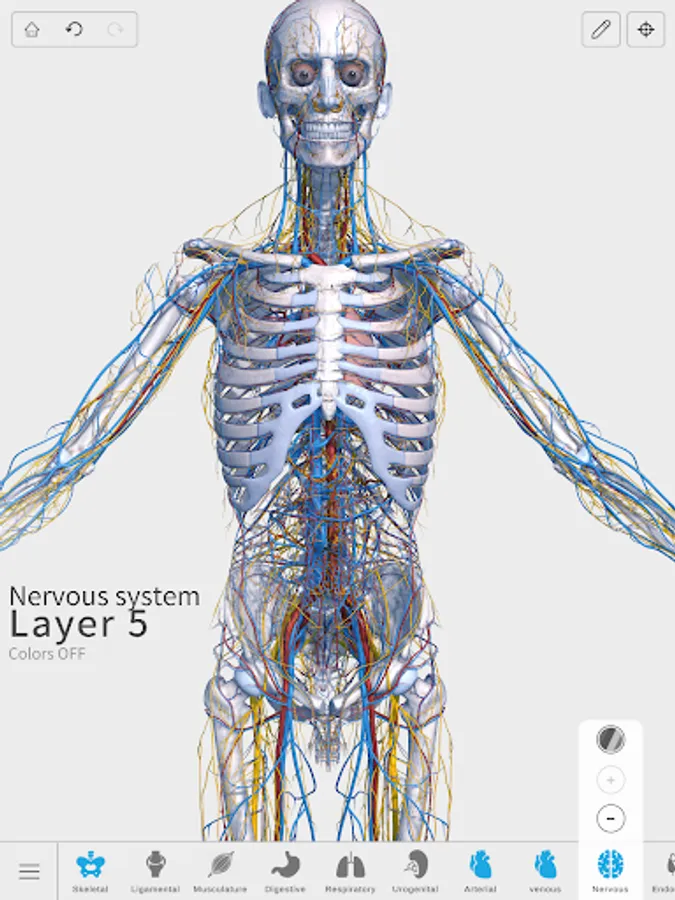 Screenshot 15