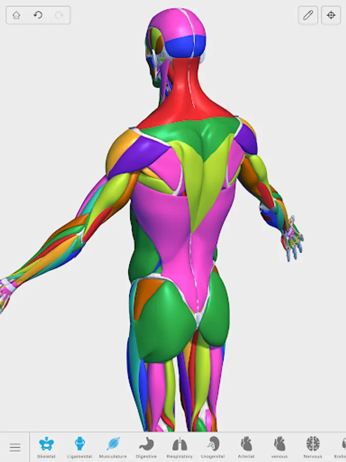 Screenshot 16