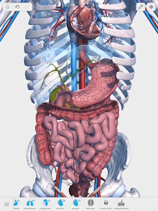 Screenshot 19